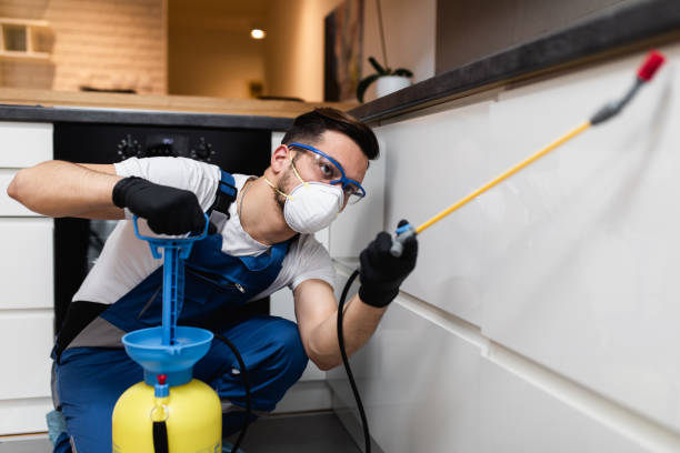 Best Flea Control Services  in Oak Bluffs, MA