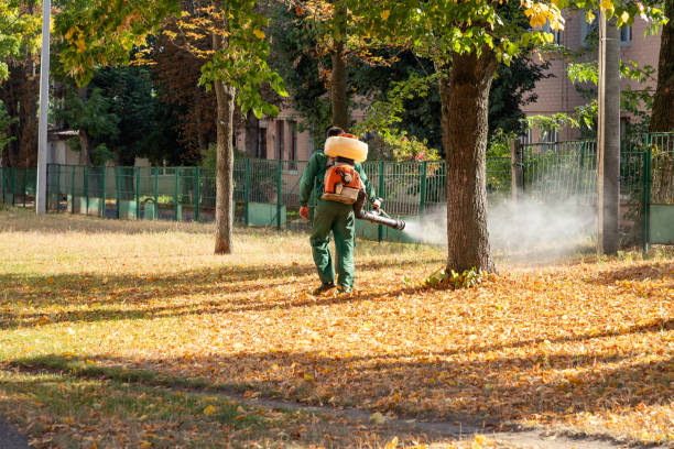 Best Exterminator Services  in Oak Bluffs, MA