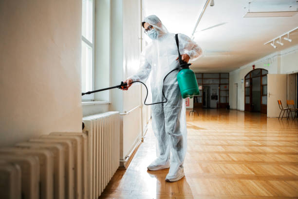 Best Termite Control Services  in Oak Bluffs, MA